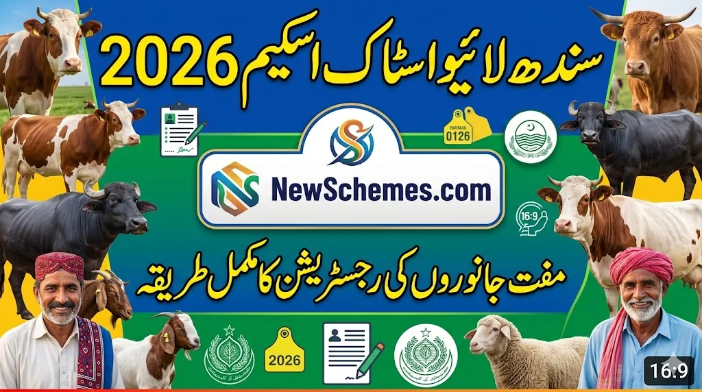 Sindh Livestock Scheme 2026 – Free Animal Registration Process Explained